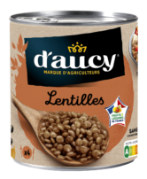 Lentilles